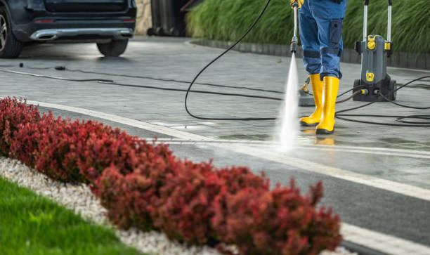 Best Roof Washing  in Vernon Center, NJ
